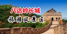 日本免费看高清操逼喷水中国北京-八达岭长城旅游风景区